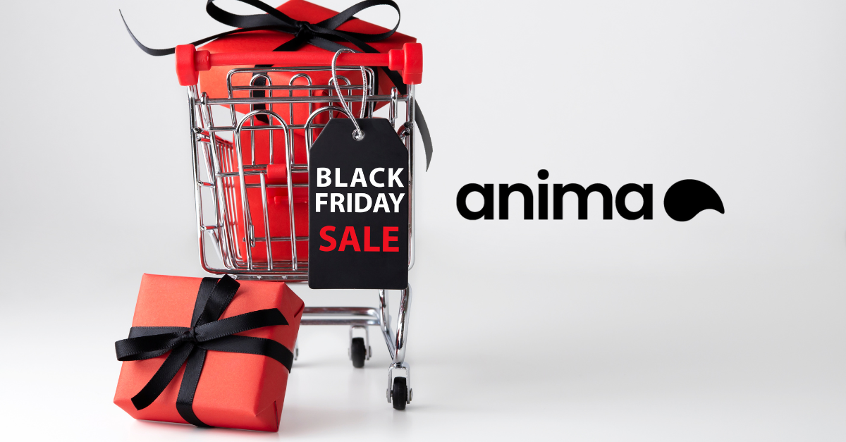 Black Friday: Marketing and Communication Strategies in Outdoor and Programmatic Advertising